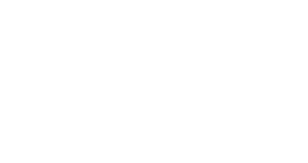 To deliver high quality products and services which are easy to use and developed using the best of technology to emp...