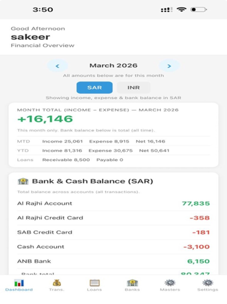 LedgerLite Pro dashboard financial overview screenshot